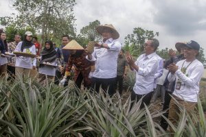 移住者の自立をパインで支援