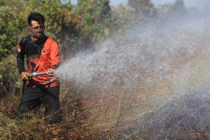 アチェ火災、東京ドーム1個分焼失