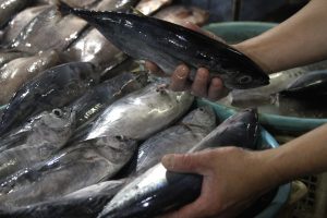 東ジャワ州、悪天候で魚不足