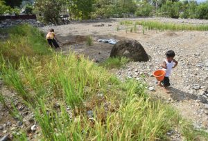 スマトラ復旧に農相「追加費用が必要」