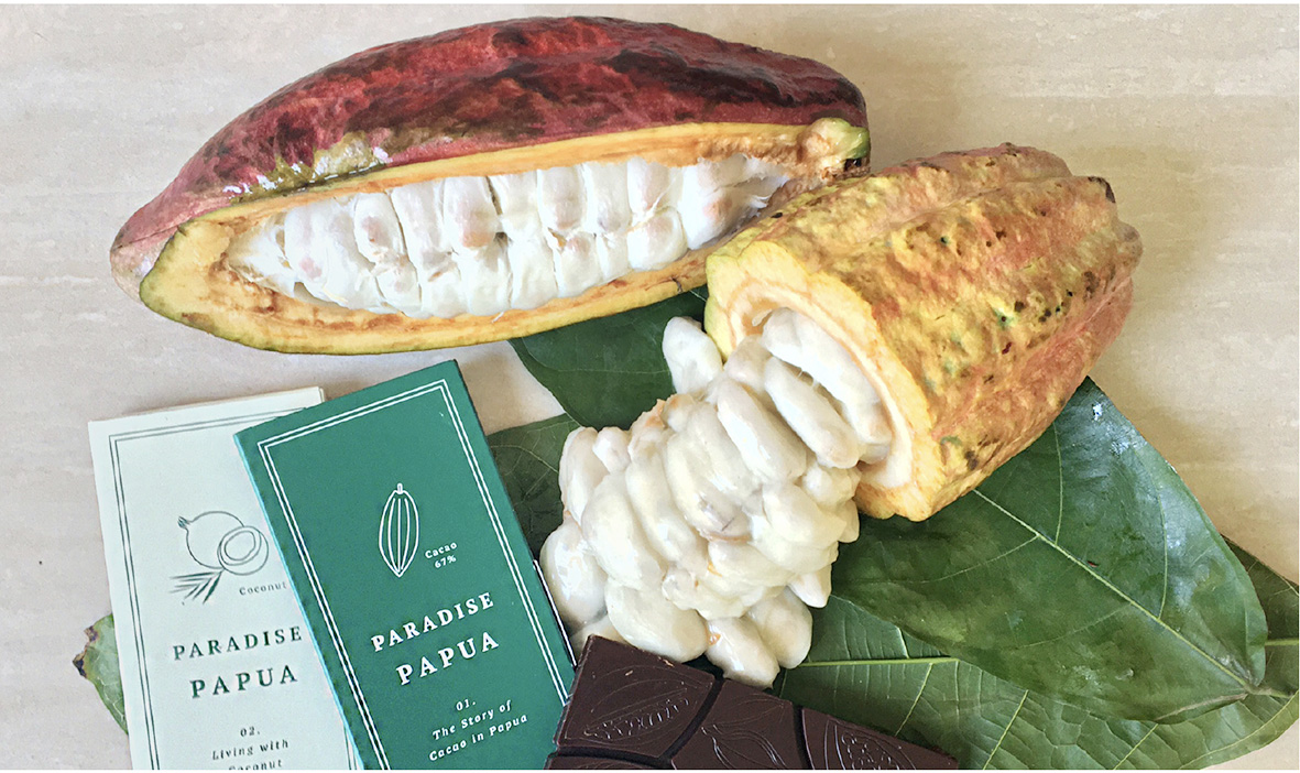 パプアの森のチョコレートー「民衆交易」で日イを結ぶ