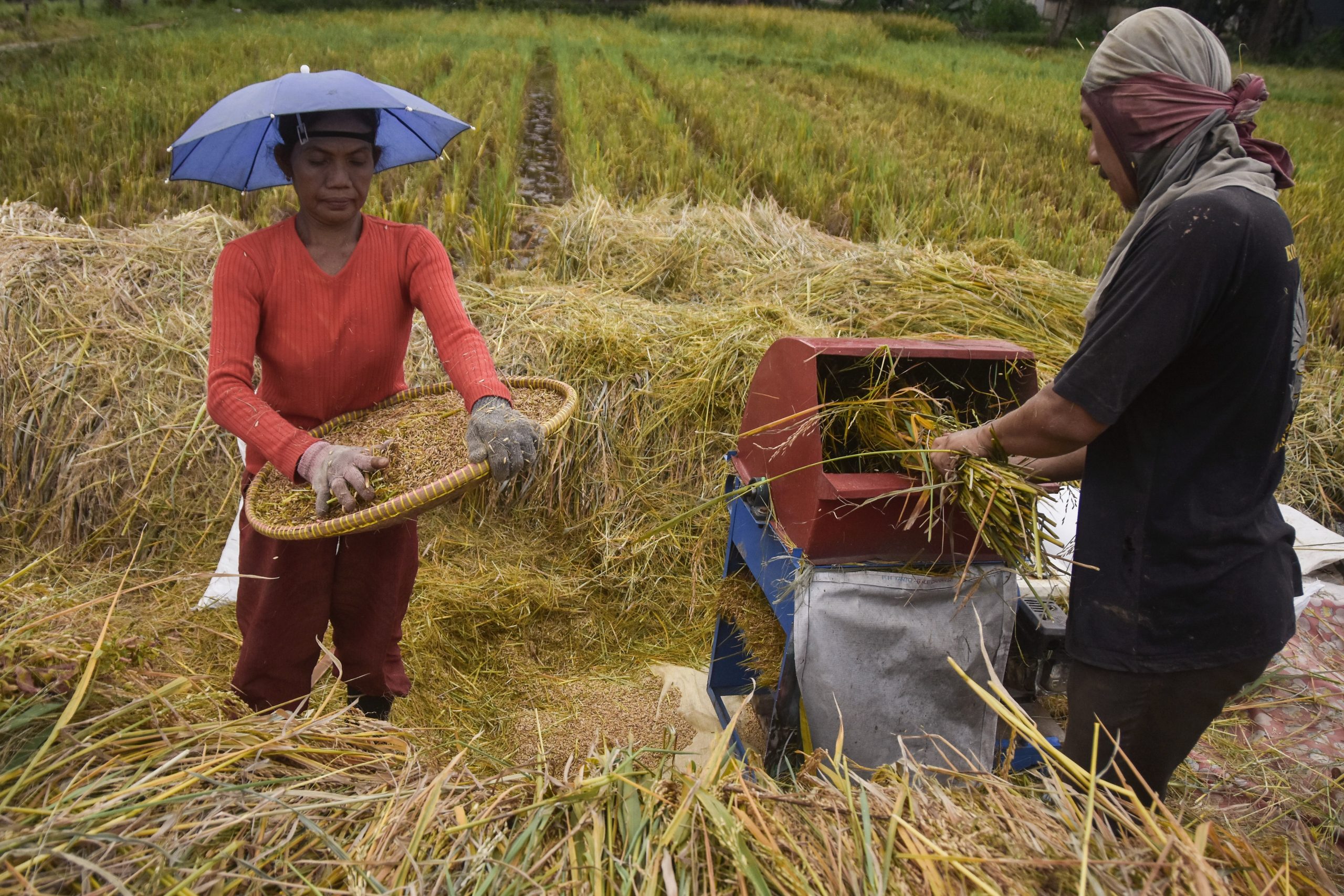 25年の製造業・農業は「歴史的成長」