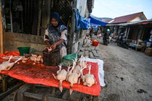 生活必需品の価格が安定