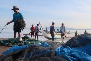 ラマダンに向けて魚確保