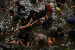 池の水抜く伝統行事