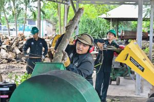 観光地のごみを堆肥に