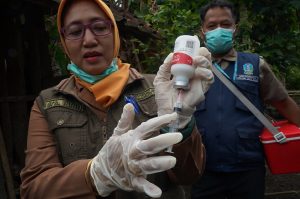 ワクチン接種を徹底、雨季で牛の免疫低下