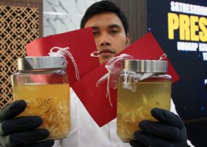 ロブスターの密輸阻止