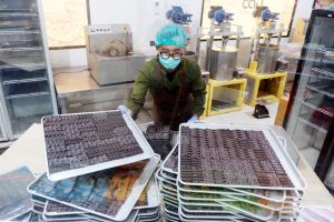 遠のく「チョコレート大国」ーカカオの生産とブランド戦略に課題