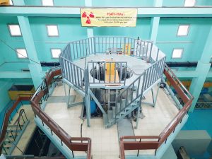 連載・インドネシア原発構想 ㊤ー露大統領「いつでも専門家派遣」　　　　　　　　　　　　　　　　　　　　　　　　　　　　　　　　　　　　　　　石炭火力依存から脱却視野