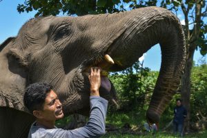 地滑りでゾウ「水飲めない」