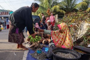 フローレス島の伝統的な物々交換