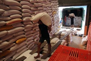 トウモロコシの集荷