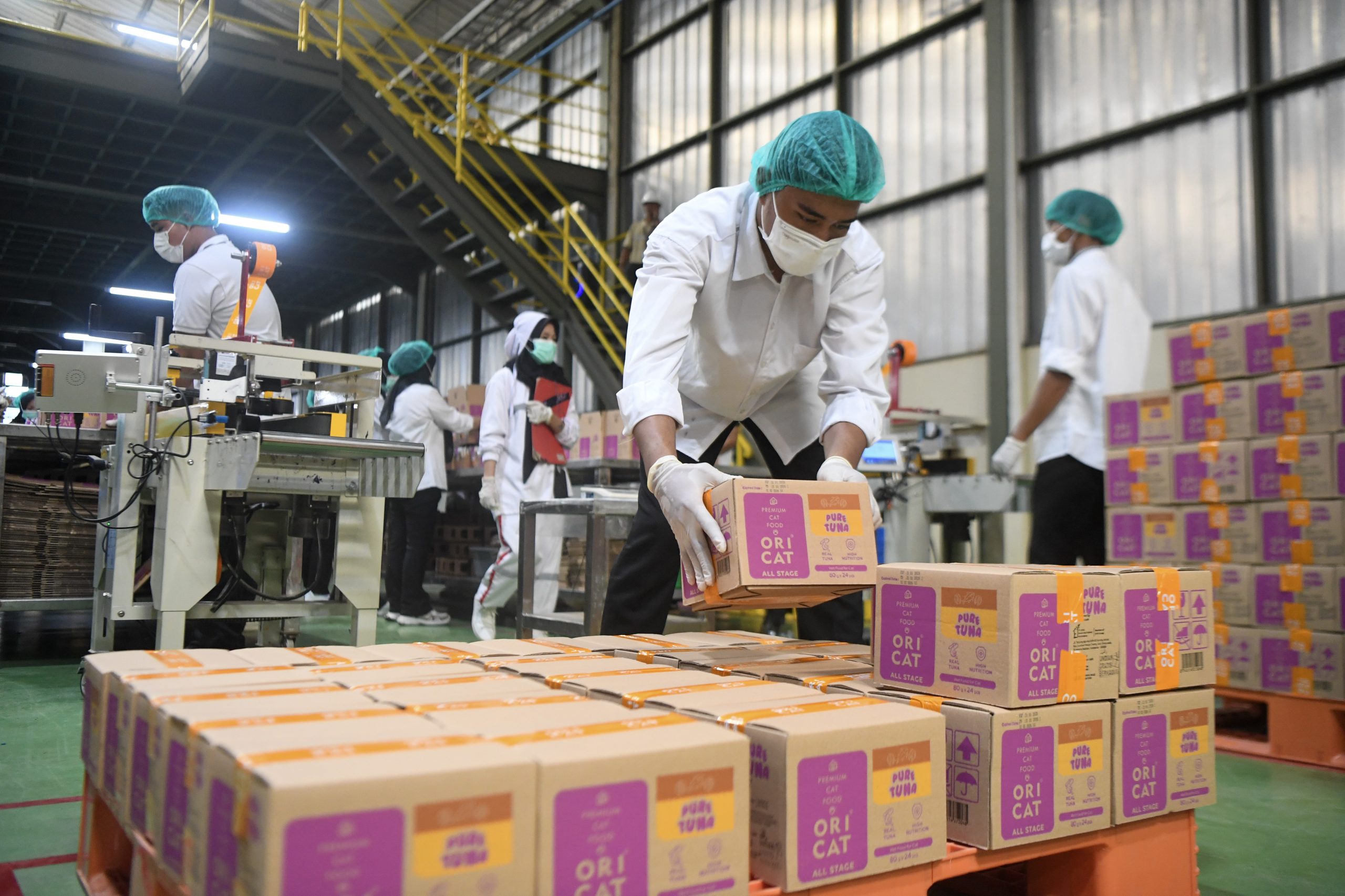 製造業PMI、連続拡大 内需回復が押し上げ