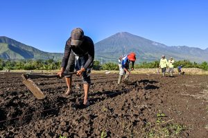重労働の日当は10万ルピア