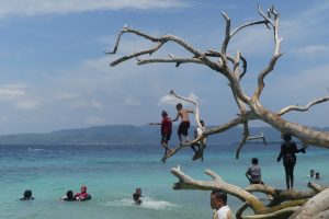 レバランで海遊び客倍増