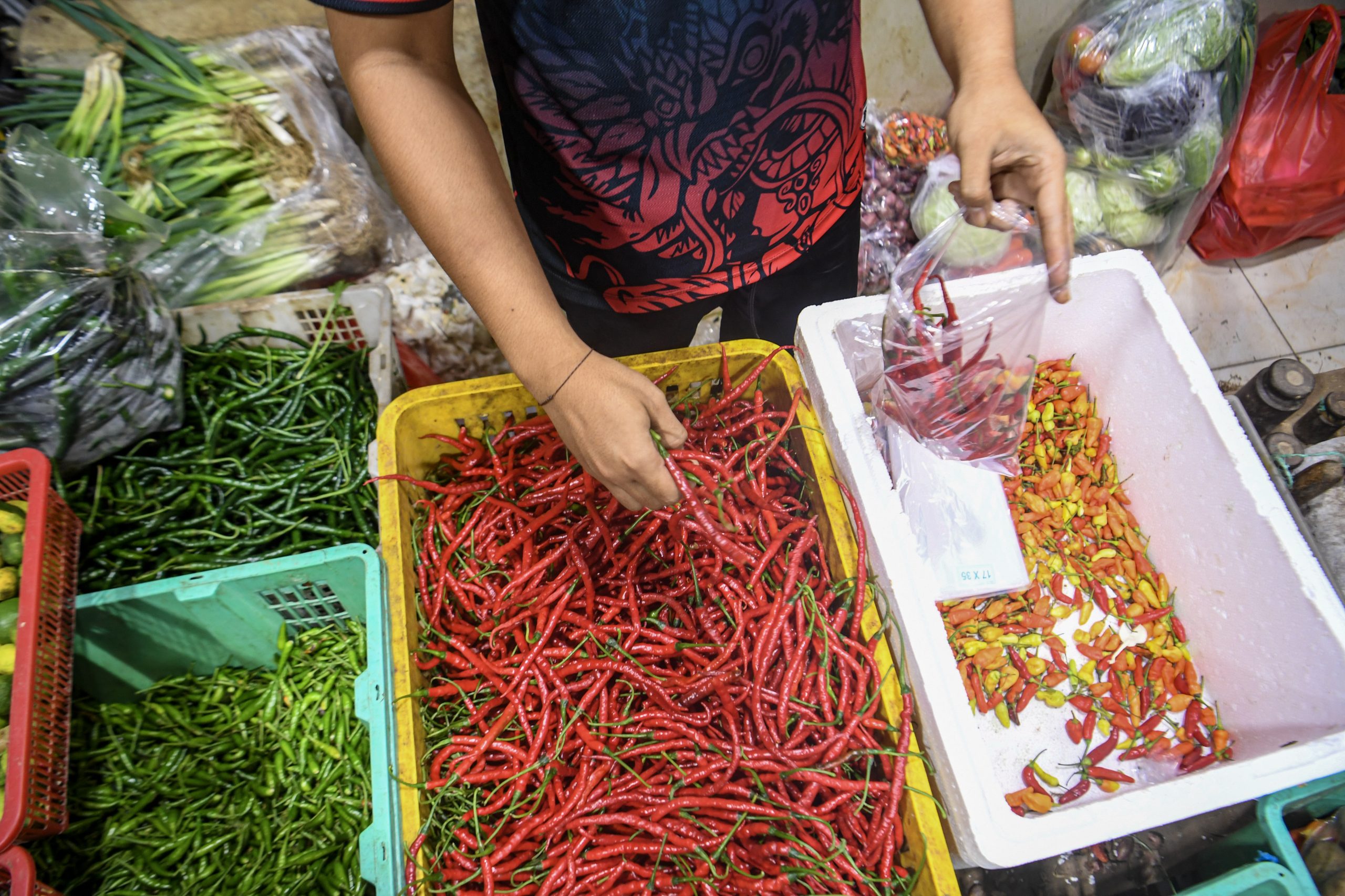 2月のインフレ率約4.7％、3年ぶりの高水準