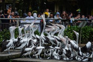 休暇で来園者増加