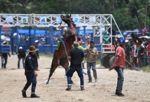 心の復興願い競馬を開催