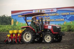 トウモロコシの一斉作付け開始