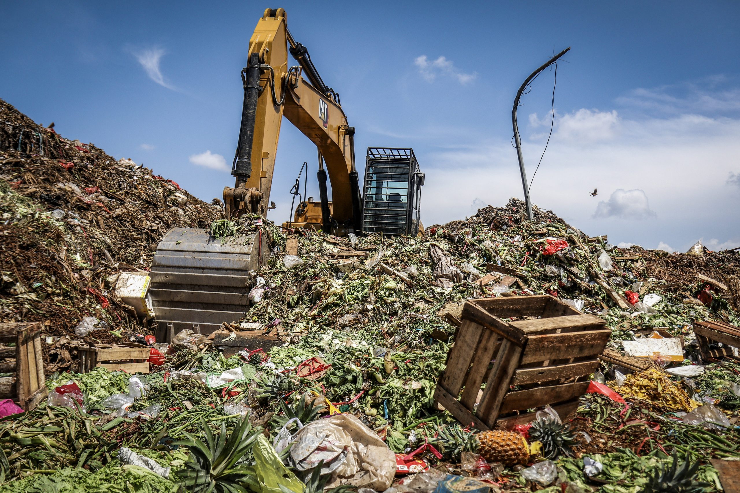 食品ロス「山積み」の課題