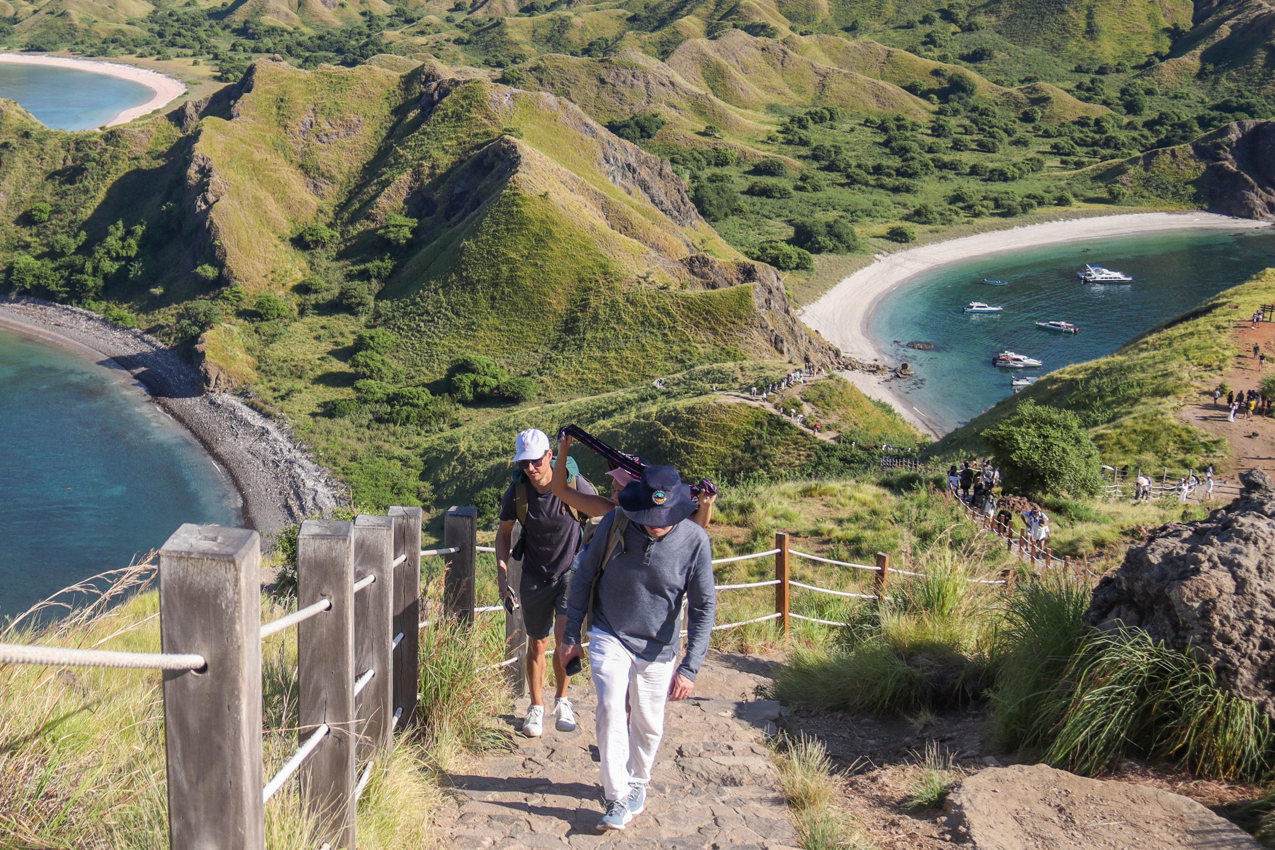 コモドの観光客「1日1000人」に