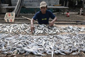 レバラン明けで魚値上がり