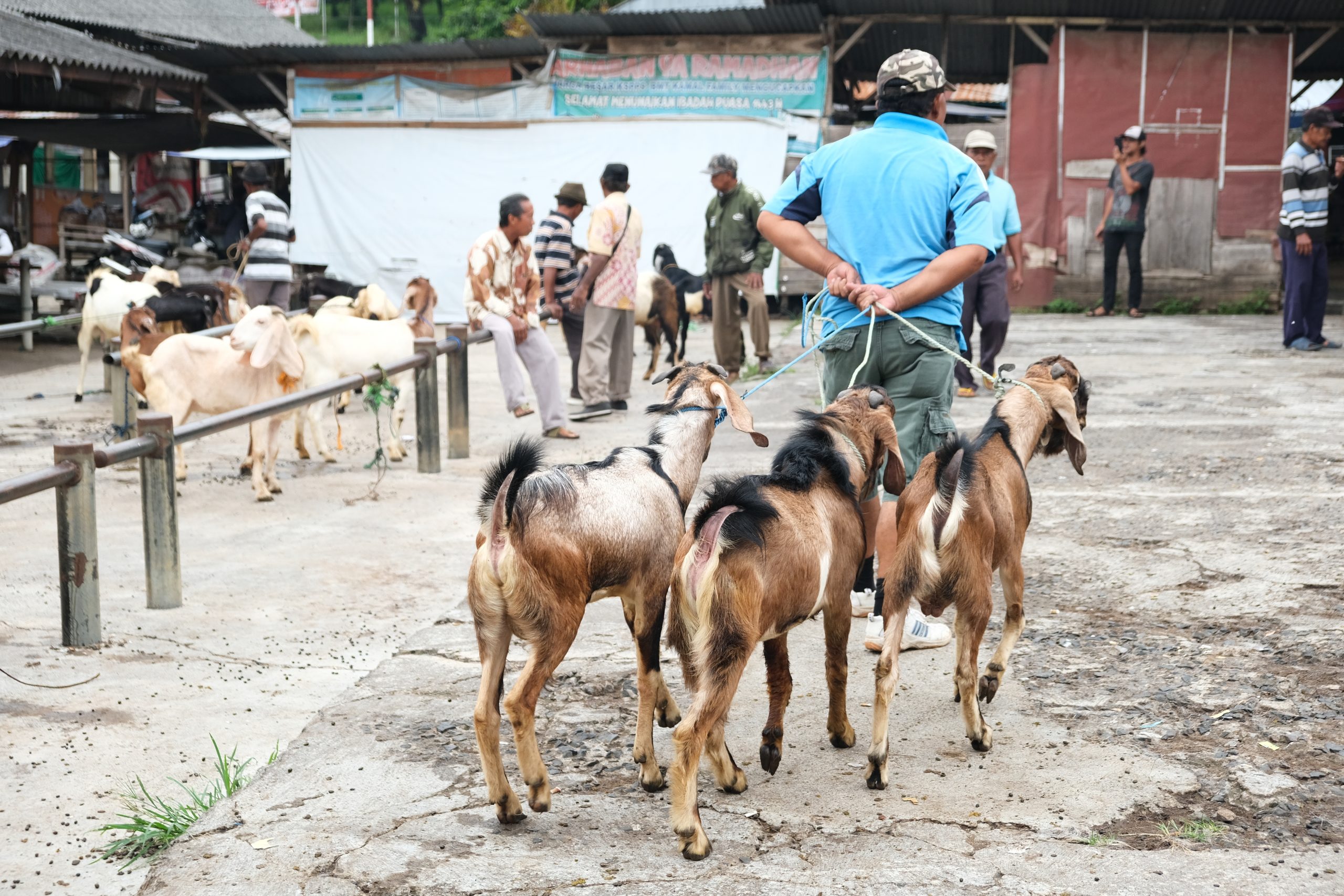 犠牲祭控え食料監視強化