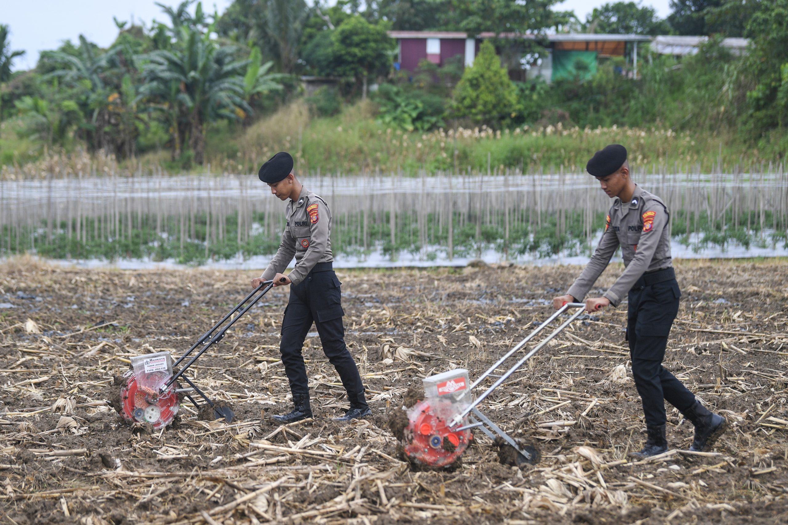 農業、エネルギー自給の担い手に