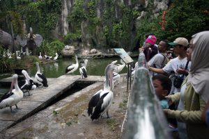 動物園、連休初日は通常の5倍