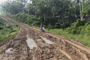 地方の道路は泥だらけ