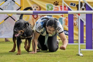 ペットと飼い主で挑戦