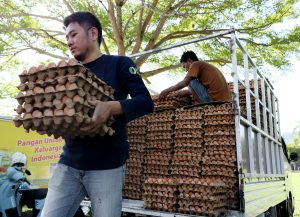 犠牲祭に向けインフレ抑制