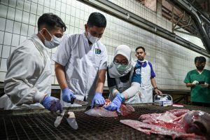 州が犠牲祭の肉を検査