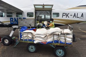 泥炭地火災に人工降雨