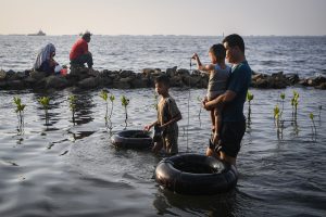 家族に人気、夕日の海岸