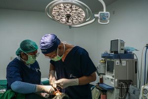 市制500年の無料手術