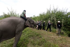 被災地で環境回復の植樹