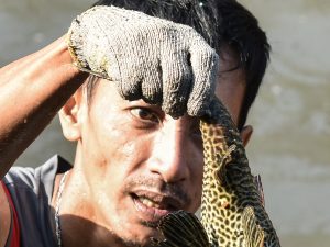 市民で外来魚を駆除