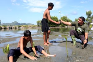 マングローブの防潮堤目指す