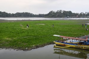 湖が草原に大変身