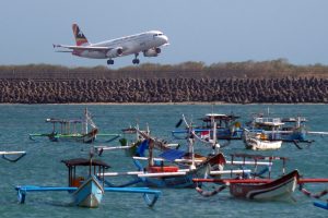 ヤシの幹、航空燃料の原料にー日本とインドネシアが共同提案