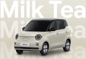 五菱、都市型ＥＶ「アイラ」初公開