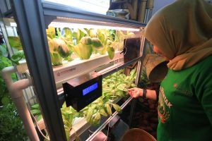 食料安保考える農業展