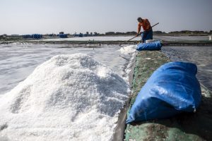 塩の買取価格、大幅下落