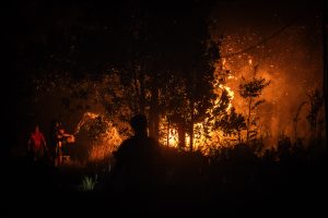 最多は森林・土地火災