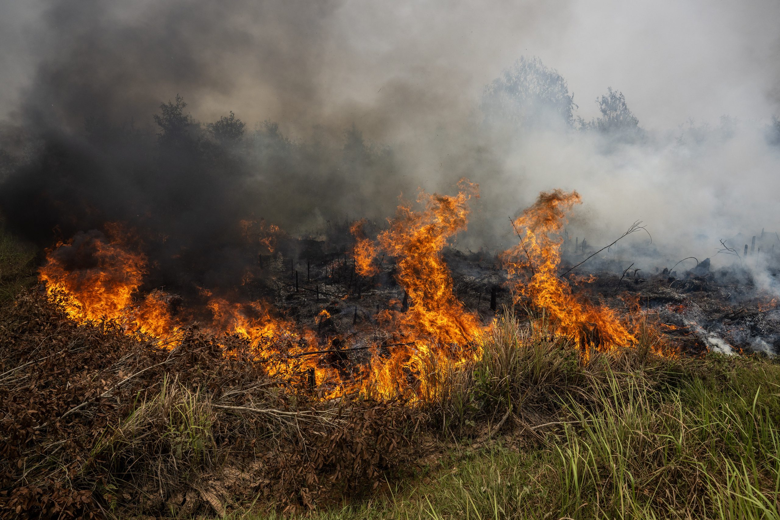 山火事煙害、外交問題にーマレーシアなどが抗議