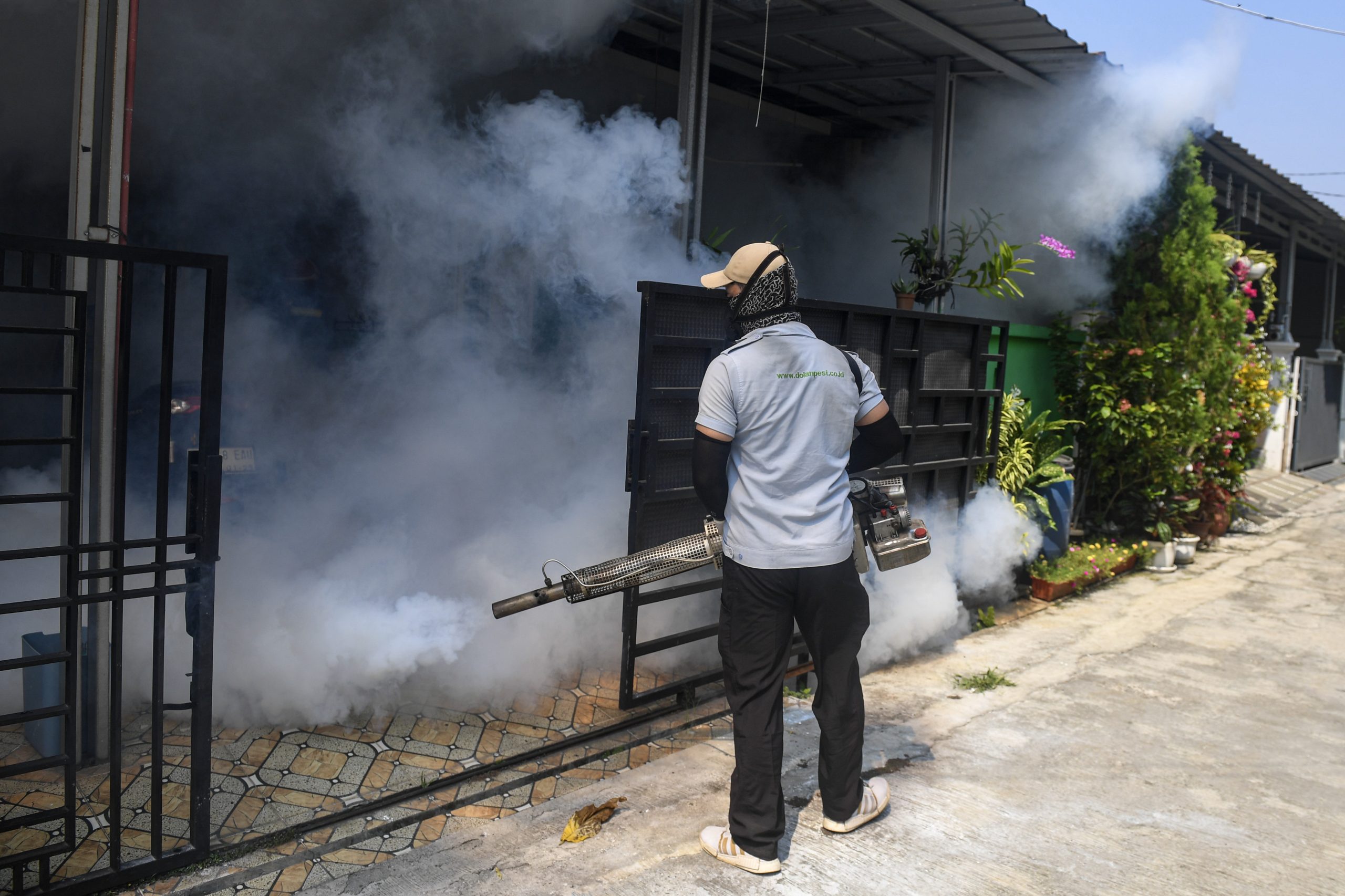 デング熱ワクチン候補開発ーインドネシア大など、初のmRNA技術活用