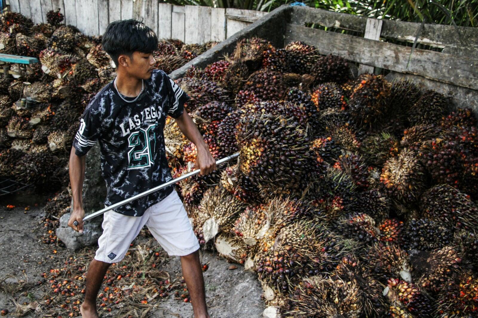 短信ニュース：若年の非正規雇用増加で労働市場に懸念