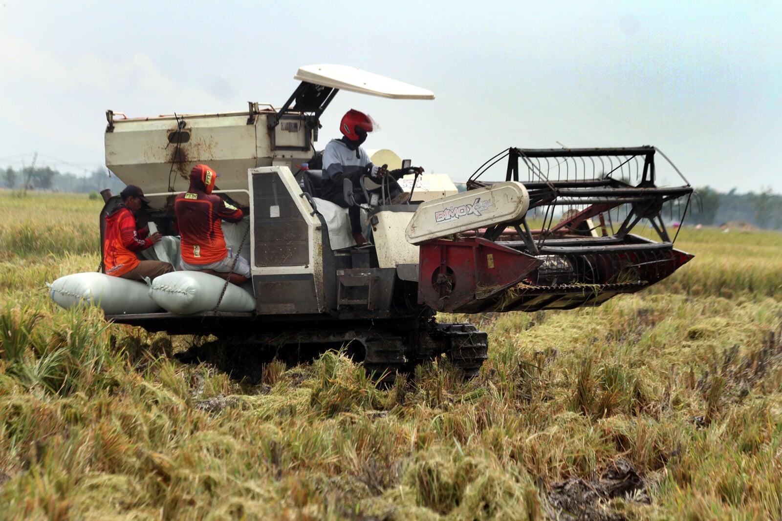 短信ニュース:食料自給達成に向け農相「祝日なし」